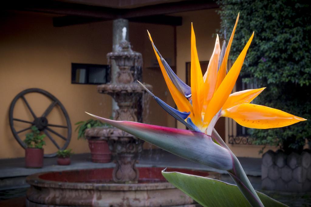 Hotel El Pueblito De Fortin Fortin de las Flores Exterior photo